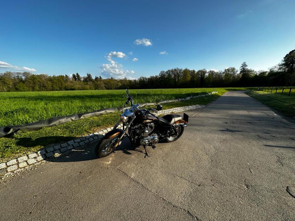 Motorrad verkaufen Harley-Davidson XL1200 Anv Ankauf